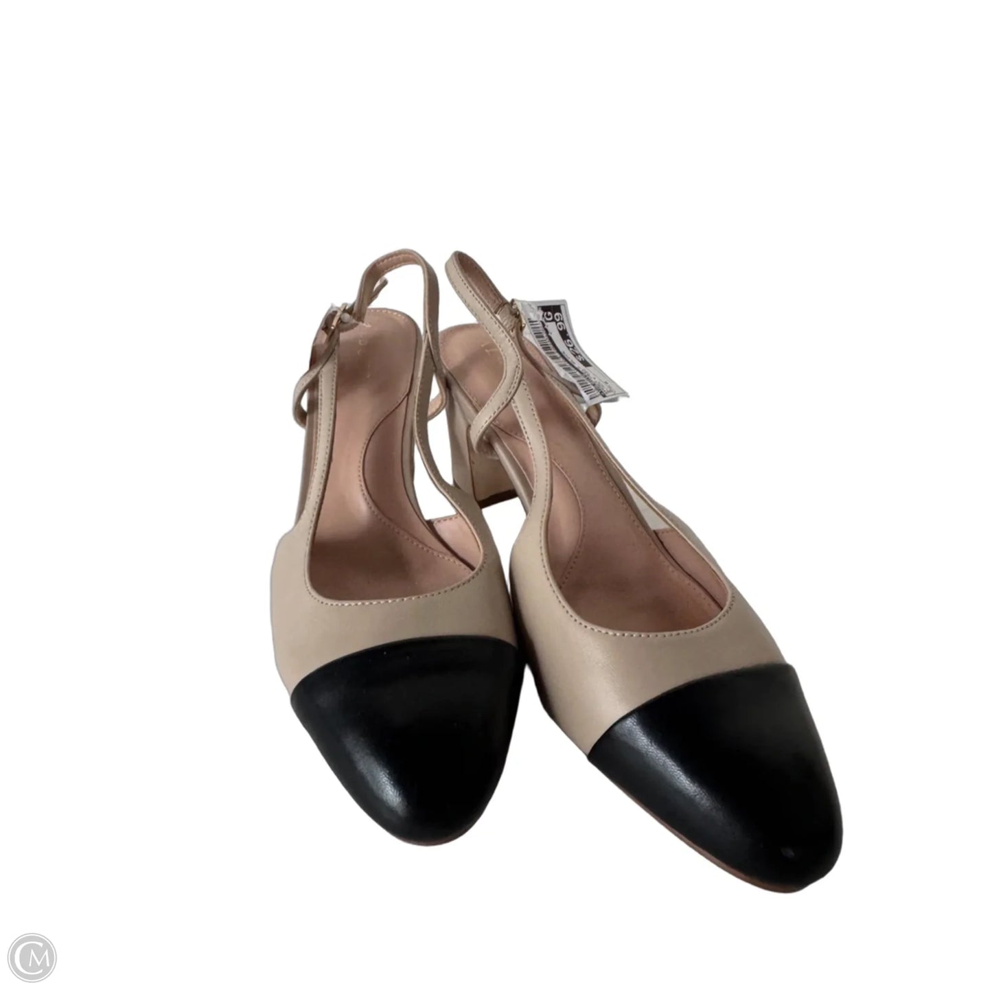 Shoes Heels Block By Talbots In Black & Tan, Size: 8