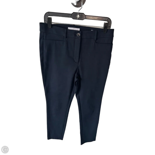 Pants Other By Loft In Blue, Size: 6