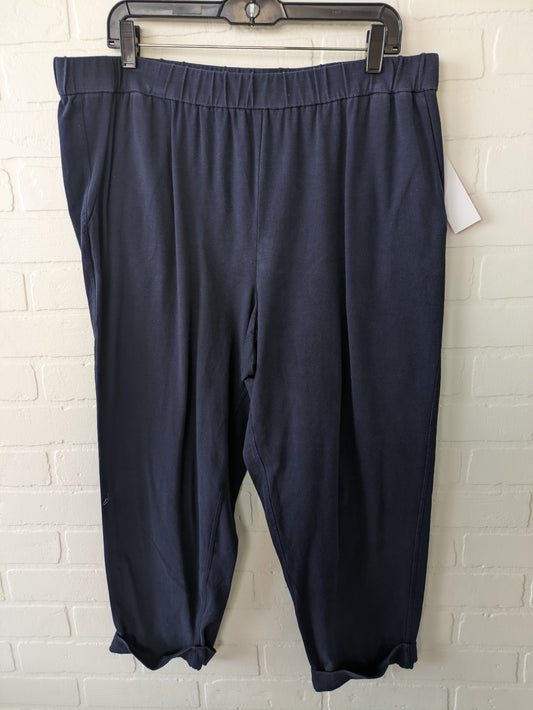 Capris By Eileen Fisher  Size: 12
