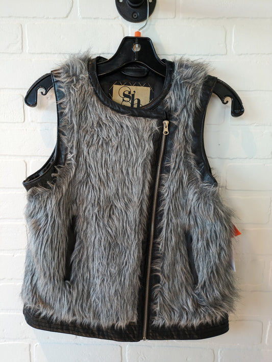 Vest Faux Fur & Sherpa By Clothes Mentor  Size: S