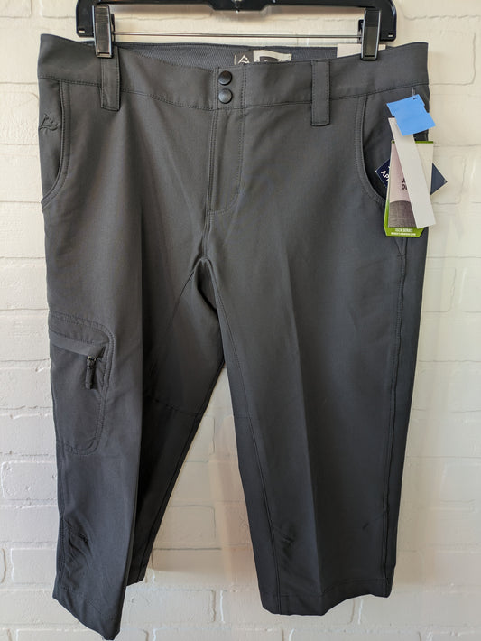 Capris By Clothes Mentor  Size: 10