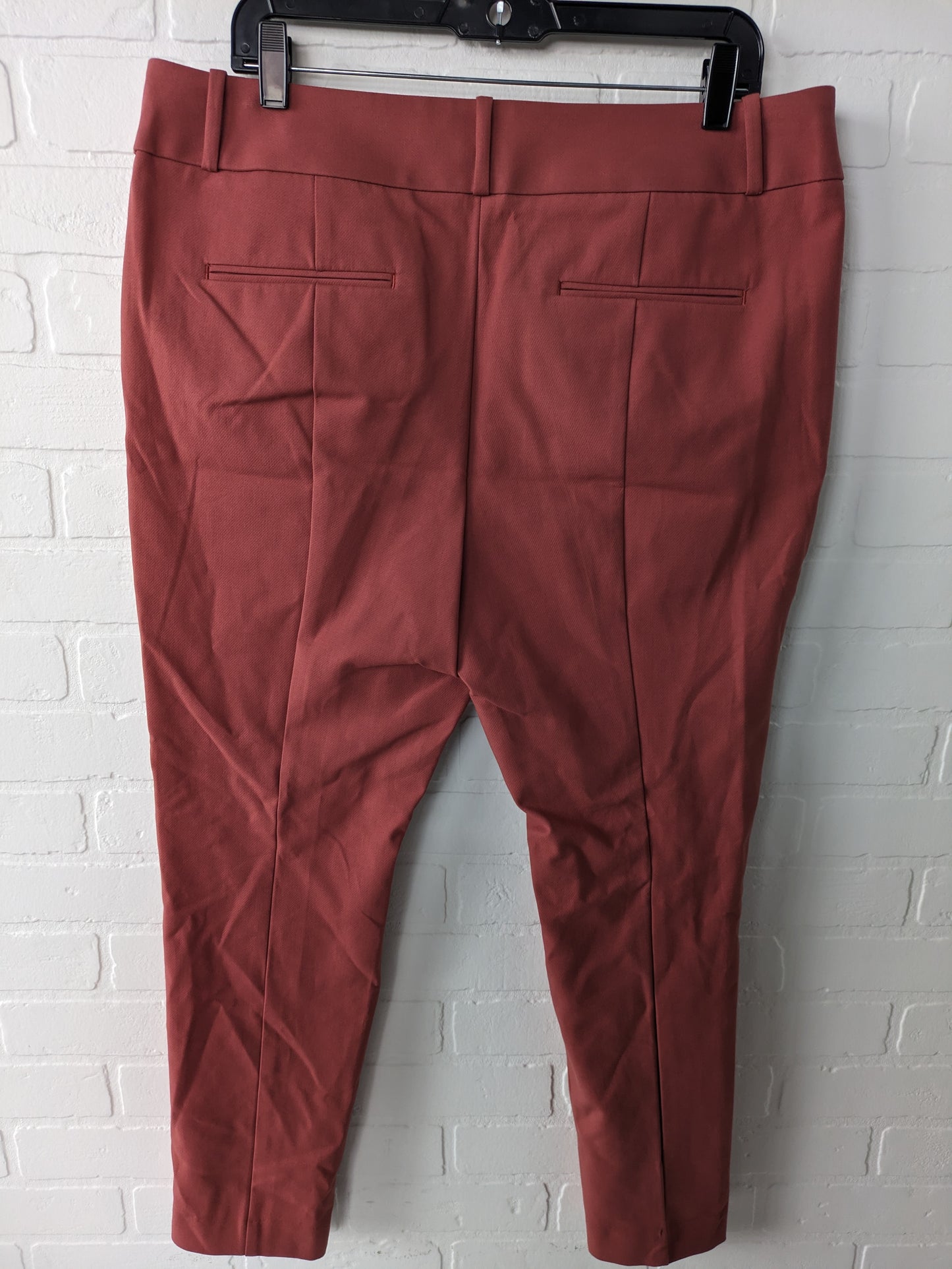 Pants Ankle By Loft  Size: 14